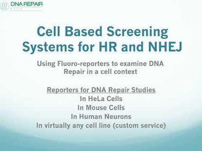 Youtube video background of DNA Repair Kits to investigate homology DNA repair and Non-homologous end joining or NHEJ repair mechanisms in any animal cell line, based on GFP  in the context of live cells to allow single cell imaging of DNA repair events in real time..